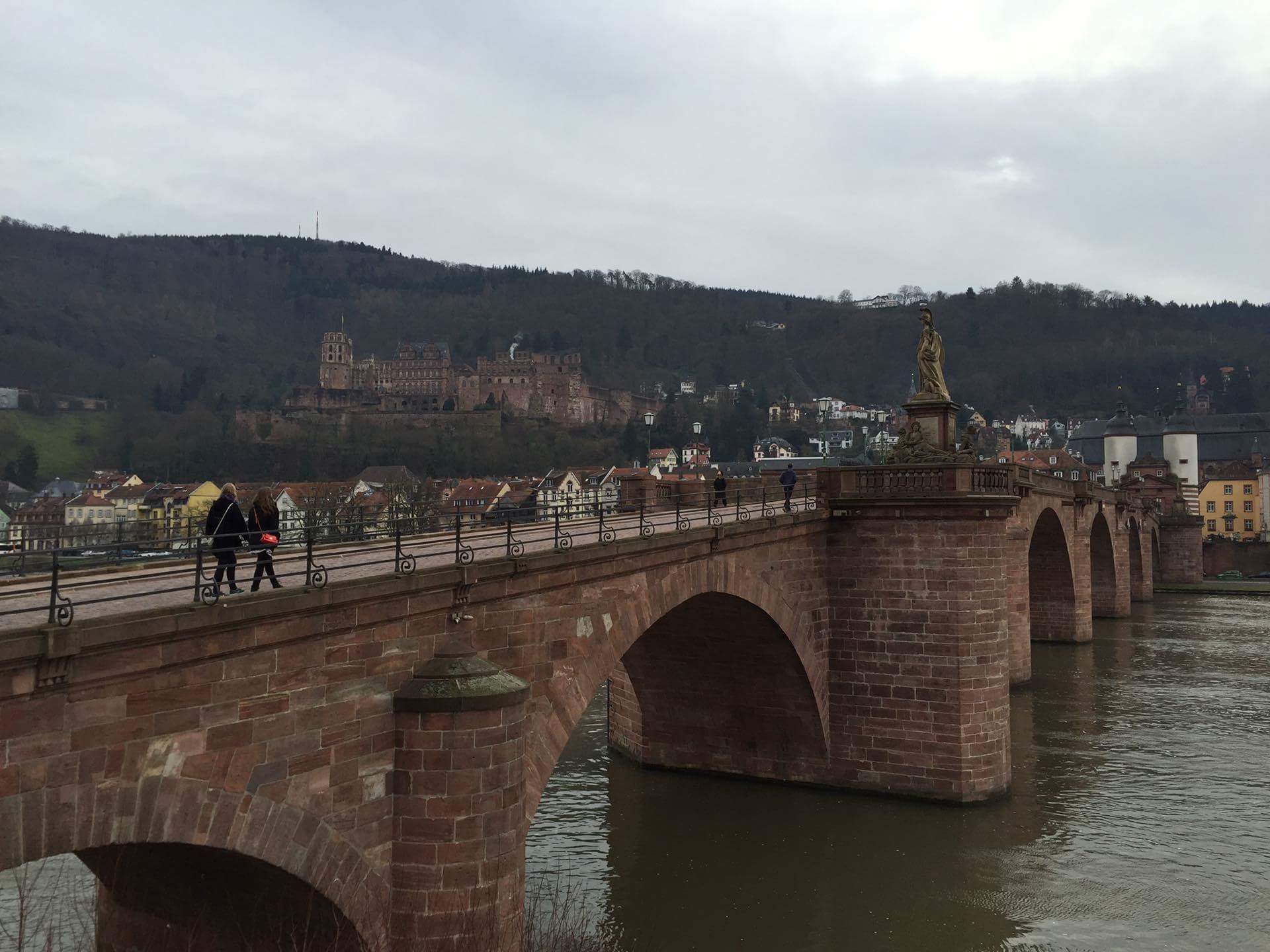 heidelberg bro