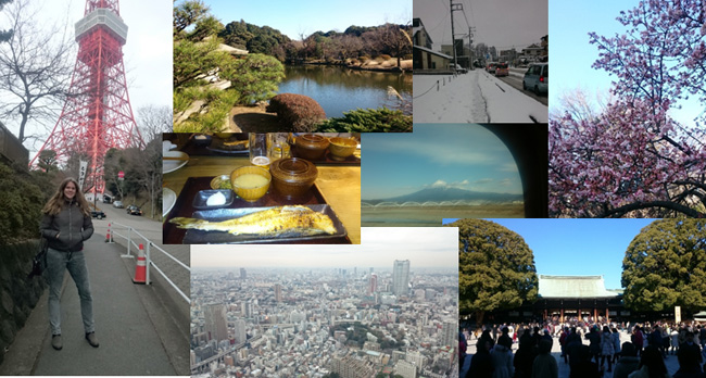 Tokyo Tower, Shinjuku Gyoen Garden, Snowy Kawagoe, Mount Fuji seen from the high speed rail, Meju Jingu Temple